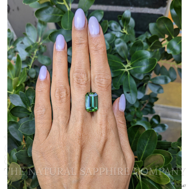 10.50 Ct. Green Tourmaline from Ceylon (Sri Lanka)