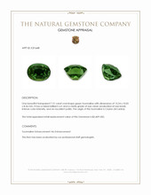7.31 Ct. Green Tourmaline from Ceylon (Sri Lanka) Appraisal