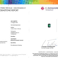 8.10 Ct. Tsavorite Garnet from East Africa Scan Report