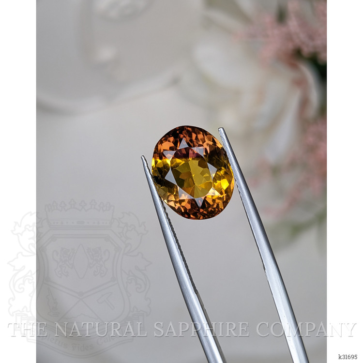 6.35 Ct. Bi Color Ametrine from Brazil