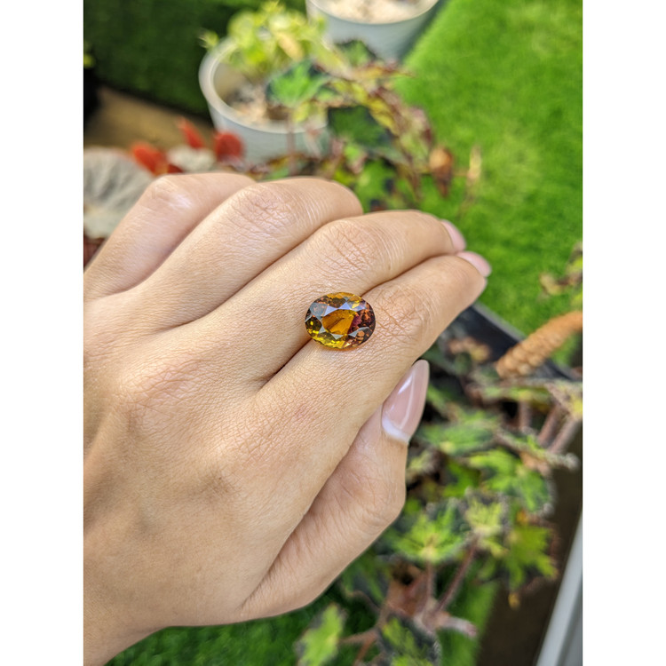 6.35 Ct. Bi Color Ametrine from Brazil