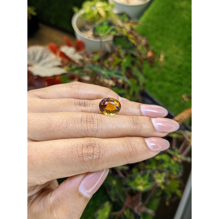 6.35 Ct. Bi Color Ametrine from Brazil