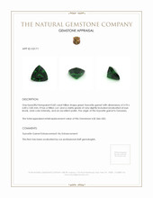 Jewelry Appraisal