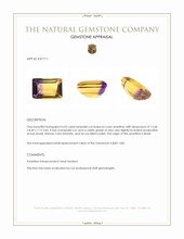 6.02 Ct. Bi Color Ametrine from Brazil Appraisal