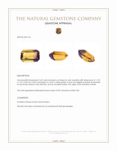 3.69 Ct. Bi Color Ametrine from Brazil Appraisal