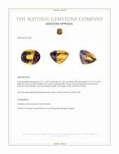6.31 Ct. Bi Color Ametrine from Brazil Appraisal