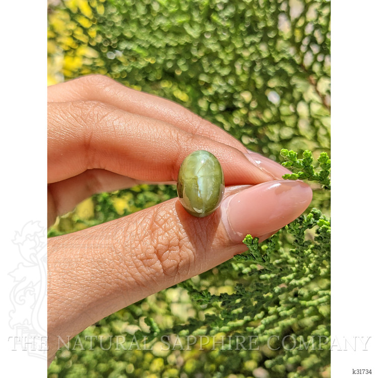 11.81 Ct. Yellowish Green Cabochon Chrysoberyl from Ceylon (Sri Lanka)