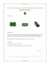 3.02 Ct. Tourmaline from Brazil Appraisal