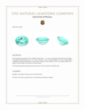 1.17 Ct. Greenish Blue Paraiba Tourmaline from Mozambique Appraisal