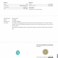 1.17 Ct. Greenish Blue Paraiba Tourmaline from Mozambique Scan Report
