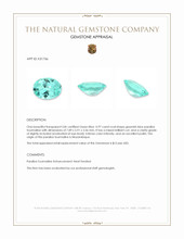 0.97 Ct. Greenish Blue Paraiba Tourmaline from Mozambique Appraisal