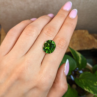 10.00 Ct. Green Tourmaline from Tanzania Life Style
