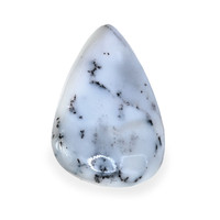 49.21 Ct. Multi Color Cabochon Agate from Madagascar Video