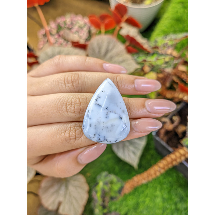 49.21 Ct. Multi Color Cabochon Agate from Madagascar