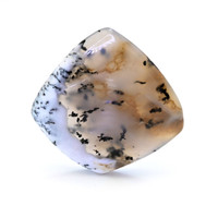 31.16 Ct. Multi Color Cabochon Agate from Madagascar Video
