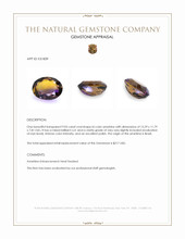9.05 Ct. Bi Color Ametrine from Brazil Appraisal