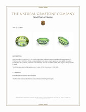 14.21 Ct. Yellowish Green Prasiolite from Brazil Appraisal
