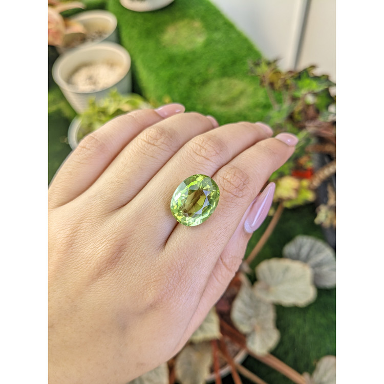 14.21 Ct. Yellowish Green Prasiolite from Brazil