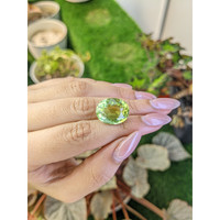 14.21 Ct. Yellowish Green Prasiolite from Brazil Life Style