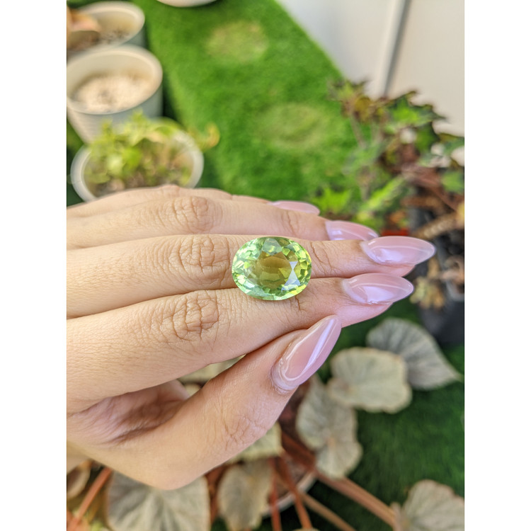 14.21 Ct. Yellowish Green Prasiolite from Brazil