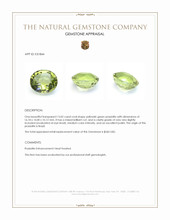 13.02 Ct. Yellowish Green Prasiolite from Brazil Appraisal