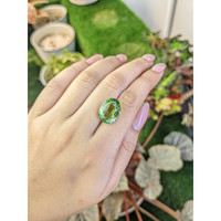 10.45 Ct. Green Prasiolite from Brazil Life Style
