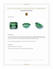 11.12 Ct. Green Prasiolite from Brazil Appraisal