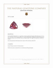 1.31 Ct. Purplish Pink Garnet from Ceylon (Sri Lanka) Appraisal