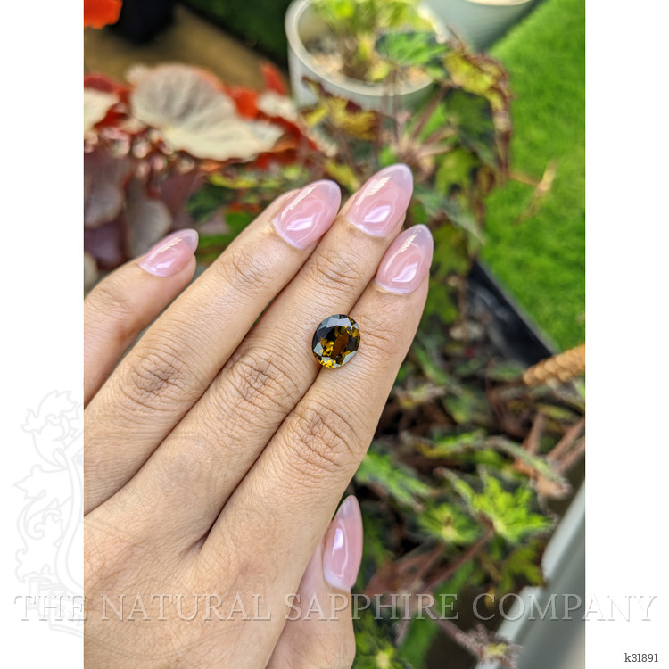 3.27 Ct. Yellowish Brown Tourmaline from Ceylon (Sri Lanka)