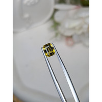 1.42 Ct. Greenish Yellow Tourmaline from Ceylon (Sri Lanka) Life Style