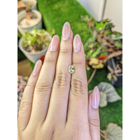 1.20 Ct. Greenish Yellow Chrysoberyl from Ceylon (Sri Lanka) Life Style