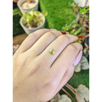 1.27 Ct. Greenish Yellow Cabochon Chrysoberyl from Ceylon (Sri Lanka) Life Style