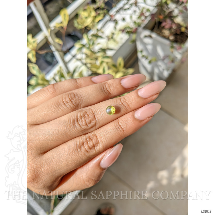 1.27 Ct. Greenish Yellow Cabochon Chrysoberyl from Ceylon (Sri Lanka)