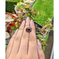 11.06 Ct. Red Garnet from Ceylon (Sri Lanka) Life Style