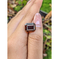 11.06 Ct. Red Garnet from Ceylon (Sri Lanka) Life Style