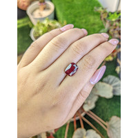 6.03 Ct. Red Garnet from Ceylon (Sri Lanka) Life Style