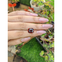 7.17 Ct. Red Garnet from Ceylon (Sri Lanka) Life Style