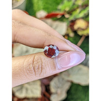 4.63 Ct. Red Garnet from Ceylon (Sri Lanka) Life Style