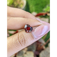 3.05 Ct. Red Garnet from Ceylon (Sri Lanka) Life Style