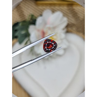 3.05 Ct. Red Garnet from Ceylon (Sri Lanka) Life Style