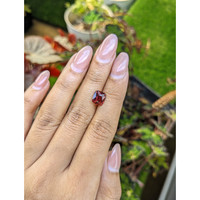 2.73 Ct. Red Garnet from Ceylon (Sri Lanka) Life Style