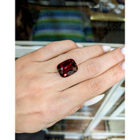 14.32 Ct. Garnet from Ceylon (Sri Lanka) Life Style