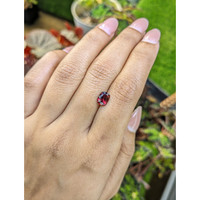 1.47 Ct. Purplish Red Garnet from Ceylon (Sri Lanka) Life Style