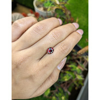 2.65 Ct. Red Garnet from Ceylon (Sri Lanka) Life Style