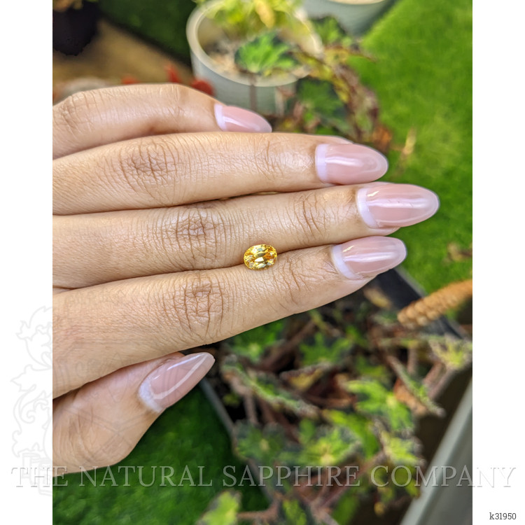 1.59 Ct. Yellow Zircon from Ceylon (Sri Lanka)