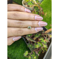 1.76 Ct. Greenish Yellow Zircon from Ceylon (Sri Lanka) Life Style