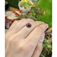 2.86 Ct. Red Garnet from Ceylon (Sri Lanka) Life Style