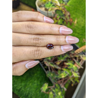 2.86 Ct. Red Garnet from Ceylon (Sri Lanka) Life Style
