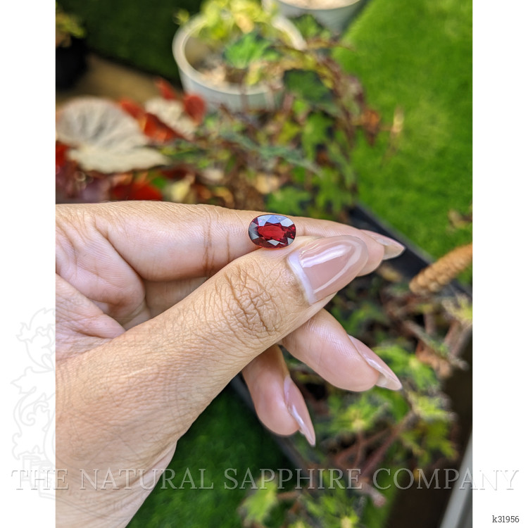 3.47 Ct. Purplish Red Garnet from Ceylon (Sri Lanka)