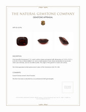 7.31 Ct. Red Garnet from Ceylon (Sri Lanka) Appraisal